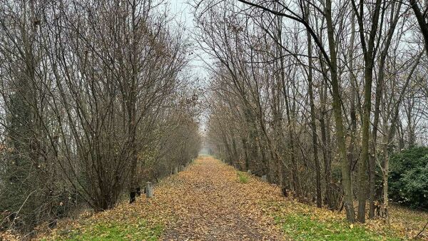 Imagem da notícia Troquei o Jeep por um par de botas — mas o off-road continua (nem que seja a pé!)